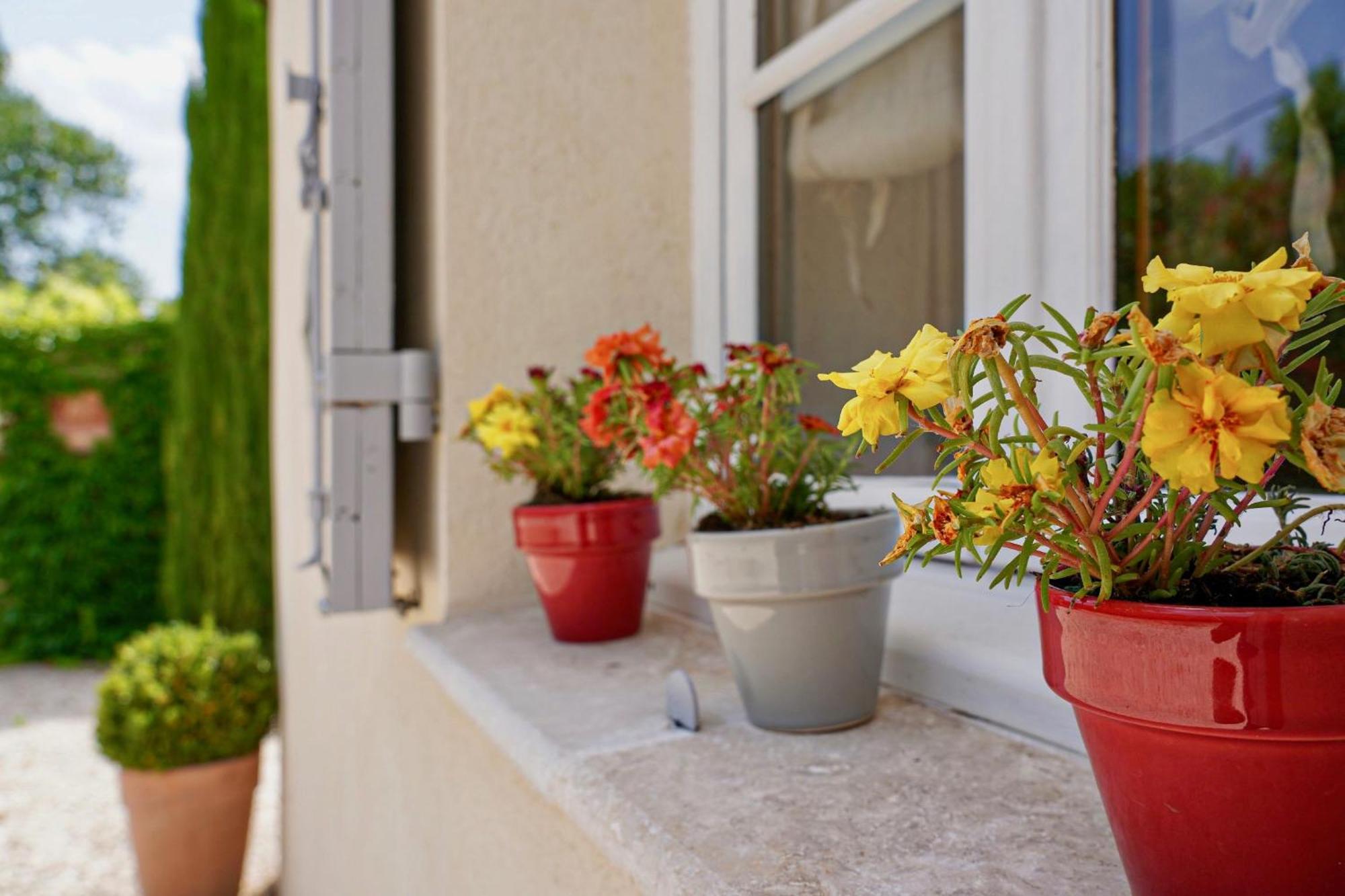 Cottage Aixois Aix-en-Provence Exterior foto